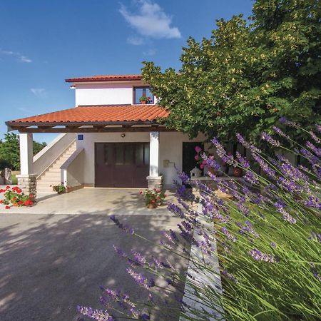 Amazing Apartment In Pazin With Wifi Katun Lindarski Εξωτερικό φωτογραφία